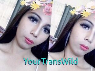 YourTransWild