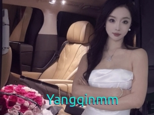 Yangqinmm