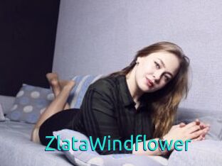 ZlataWindflower