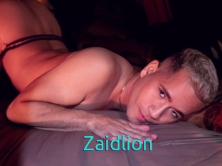 Zaidlion